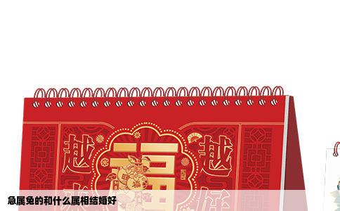 急属兔的和什么属相结婚好