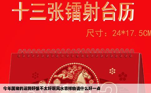 今年属猪的运势好像不太好啊风水吉祥物请什么好一点
