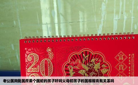 老公属狗我属虎要个属蛇的孩子好吗父母和孩子的属相相克有关系吗