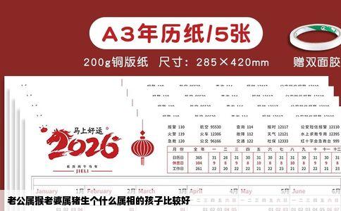 老公属猴老婆属猪生个什么属相的孩子比较好