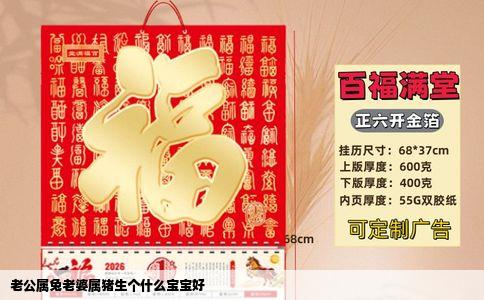 老公属兔老婆属猪生个什么宝宝好