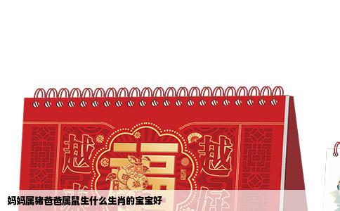 妈妈属猪爸爸属鼠生什么生肖的宝宝好