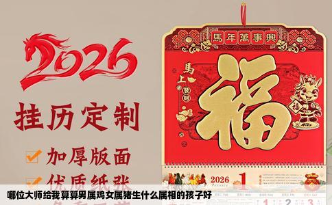 哪位大师给我算算男属鸡女属猪生什么属相的孩子好