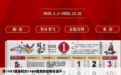 男1987属兔和女1988属龙的结婚合适不