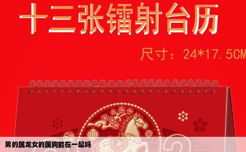 男的属龙女的属狗能在一起吗