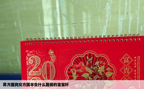 男方属狗女方属羊生什么属相的宝宝好