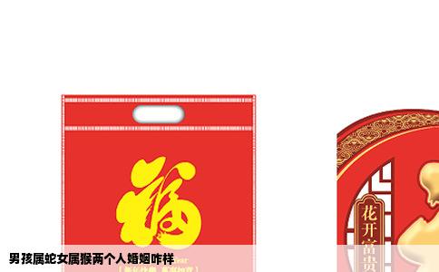 男孩属蛇女属猴两个人婚姻咋样