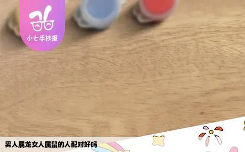 男人属龙女人属鼠的人配对好吗