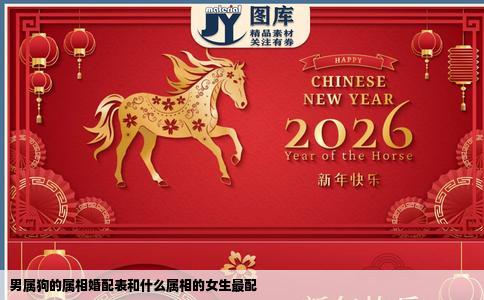 男属狗的属相婚配表和什么属相的女生最配