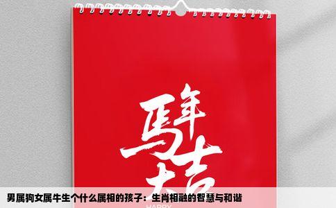 男属狗女属牛生个什么属相的孩子：生肖相融的智慧与和谐