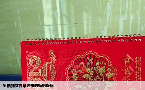 男属狗女属羊这样的婚姻好吗