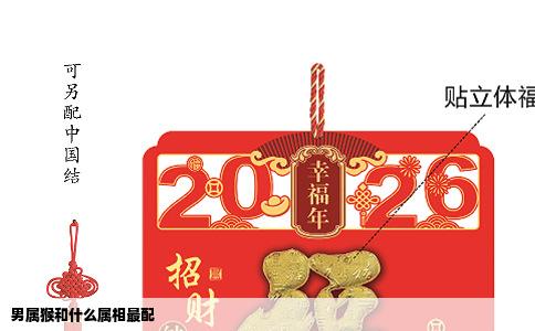 男属猴和什么属相最配