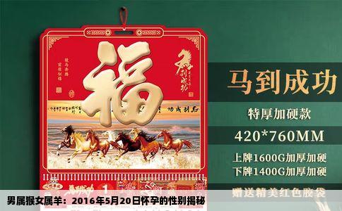 男属猴女属羊：2016年5月20日怀孕的性别揭秘