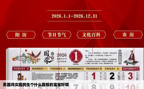 男属鸡女属狗生个什么属相的宝宝好呢