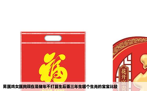 男属鸡女属狗现在是猪年不打算生后面三年生哪个生肖的宝宝比较