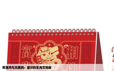 男属鸡与女属狗：缘分的生肖交响曲