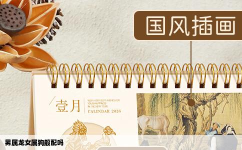 男属龙女属狗般配吗
