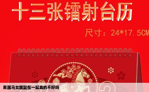男属马女属鼠在一起真的不好吗