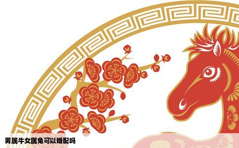男属牛女属兔可以婚配吗