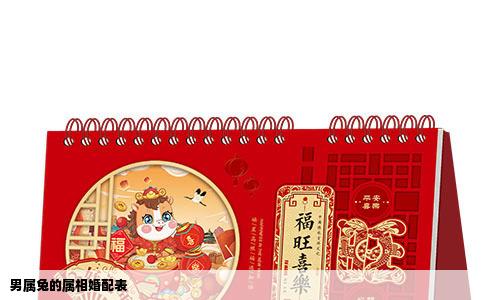 男属兔的属相婚配表