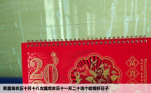 男属兔农历十月十八女属虎农历十一月二十选个结婚好日子