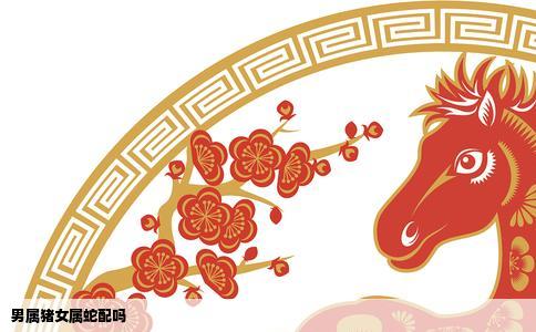 男属猪女属蛇配吗