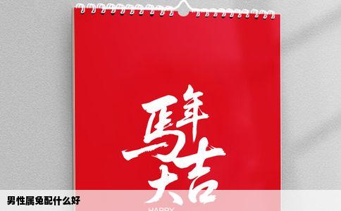 男性属兔配什么好