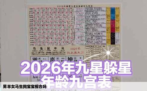 男羊女马生狗宝宝相合吗