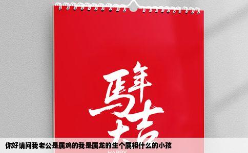 你好请问我老公是属鸡的我是属龙的生个属相什么的小孩