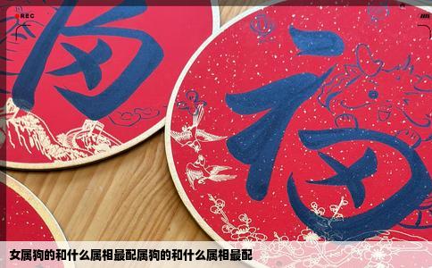 女属狗的和什么属相最配属狗的和什么属相最配