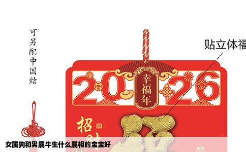女属狗和男属牛生什么属相的宝宝好