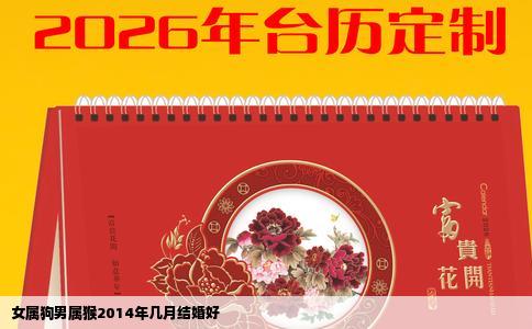女属狗男属猴2014年几月结婚好