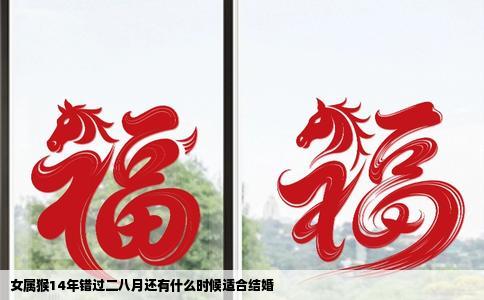 女属猴14年错过二八月还有什么时候适合结婚