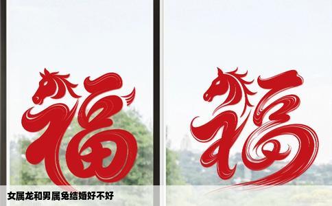 女属龙和男属兔结婚好不好