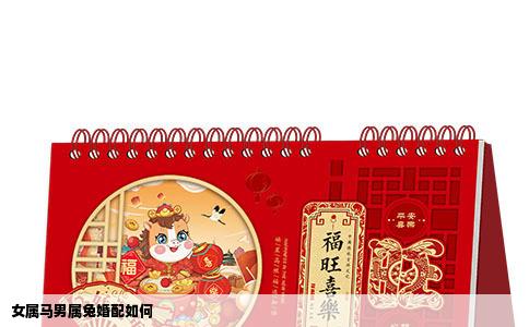 女属马男属兔婚配如何