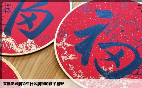 女属蛇男属兔生什么属相的孩子最好