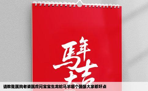 请教我属狗老婆属虎问宝宝生龙蛇马羊哪个属像大家都好点