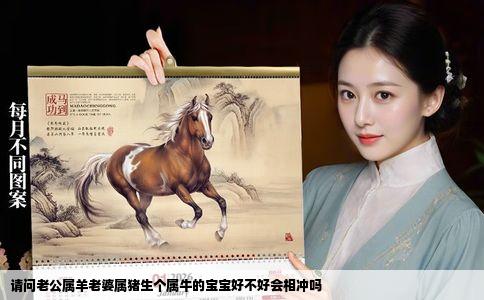 请问老公属羊老婆属猪生个属牛的宝宝好不好会相冲吗