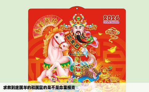 求救到底属羊的和属鼠的是不是命里相克
