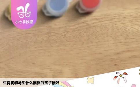 生肖狗和马生什么属相的孩子最好