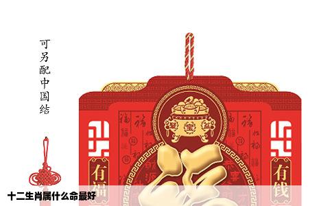 十二生肖属什么命最好