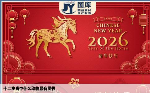 十二生肖中什么动物最有灵性