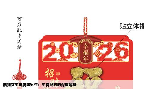 属狗女生与属猪男生：生肖配对的深度解析