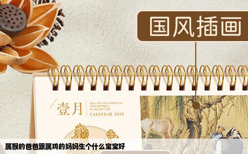 属猴的爸爸跟属鸡的妈妈生个什么宝宝好