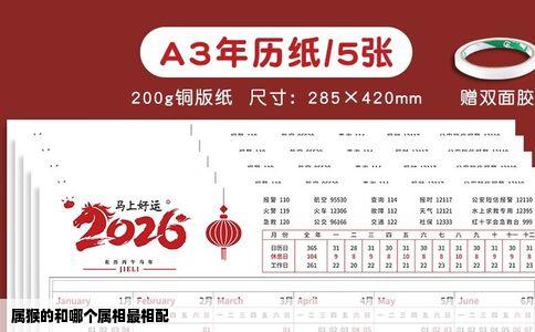 属猴的和哪个属相最相配