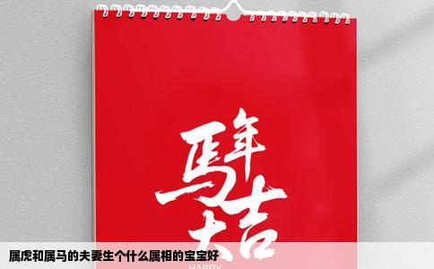 属虎和属马的夫妻生个什么属相的宝宝好
