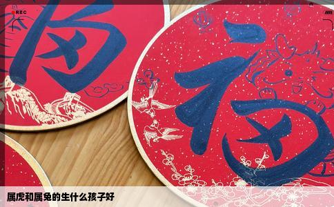 属虎和属兔的生什么孩子好