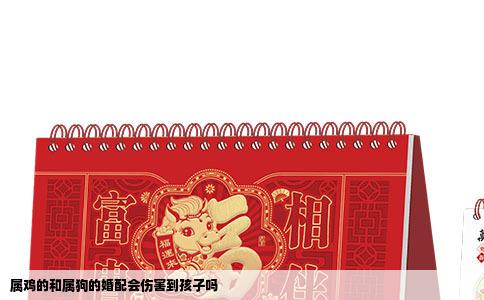 属鸡的和属狗的婚配会伤害到孩子吗