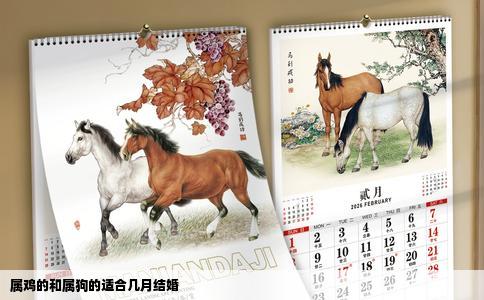 属鸡的和属狗的适合几月结婚