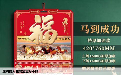 属鸡的人生虎宝宝好不好